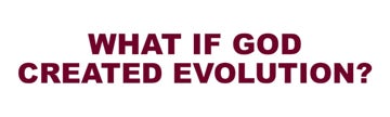 Picture of Evolution/Darwin 14931402