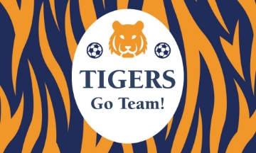 Picture of Sports Flags 7