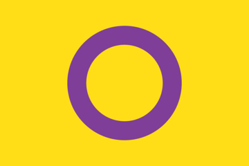 Picture of Intersex Pride Flag- 2x3