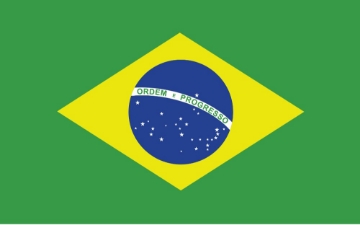 Picture of Brazil- 5x8