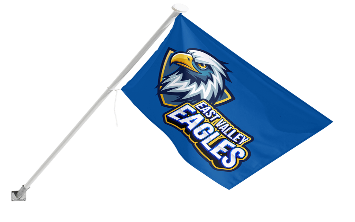 Picture of 3ft x 5ft Standard Flag PFF